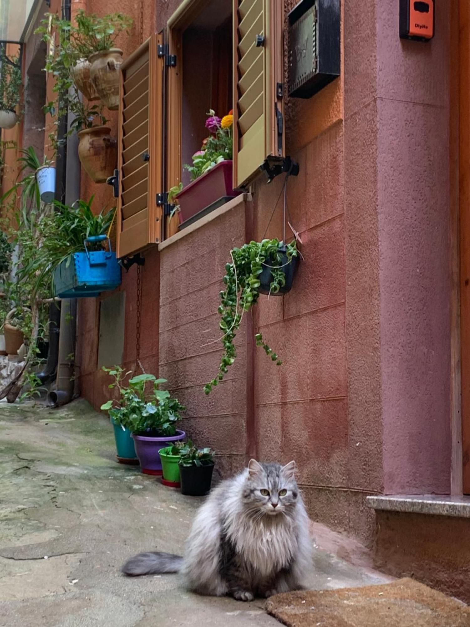 Da Ida Otel Bosa Dış mekan fotoğraf